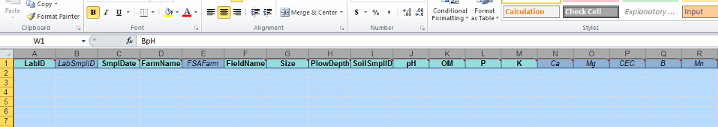 ST_CellFormatting1